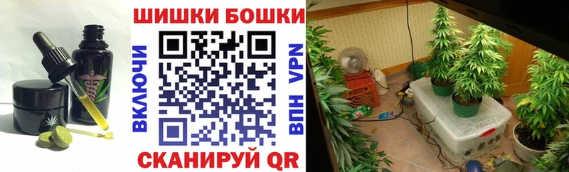 где купить   Тверь  shop клад  Canna-Cookies марихуана 