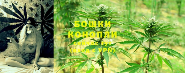 гашик Беломорск