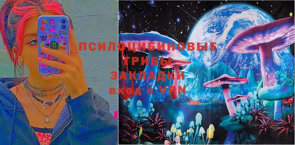 apvp Белокуриха