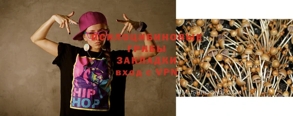 гашик Беломорск