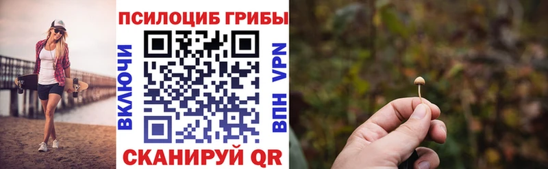 Галлюциногенные грибы Cubensis  Тверь 